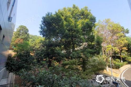 湖南大部今明天阳光在线 后天降雨发展增多局地有大雨